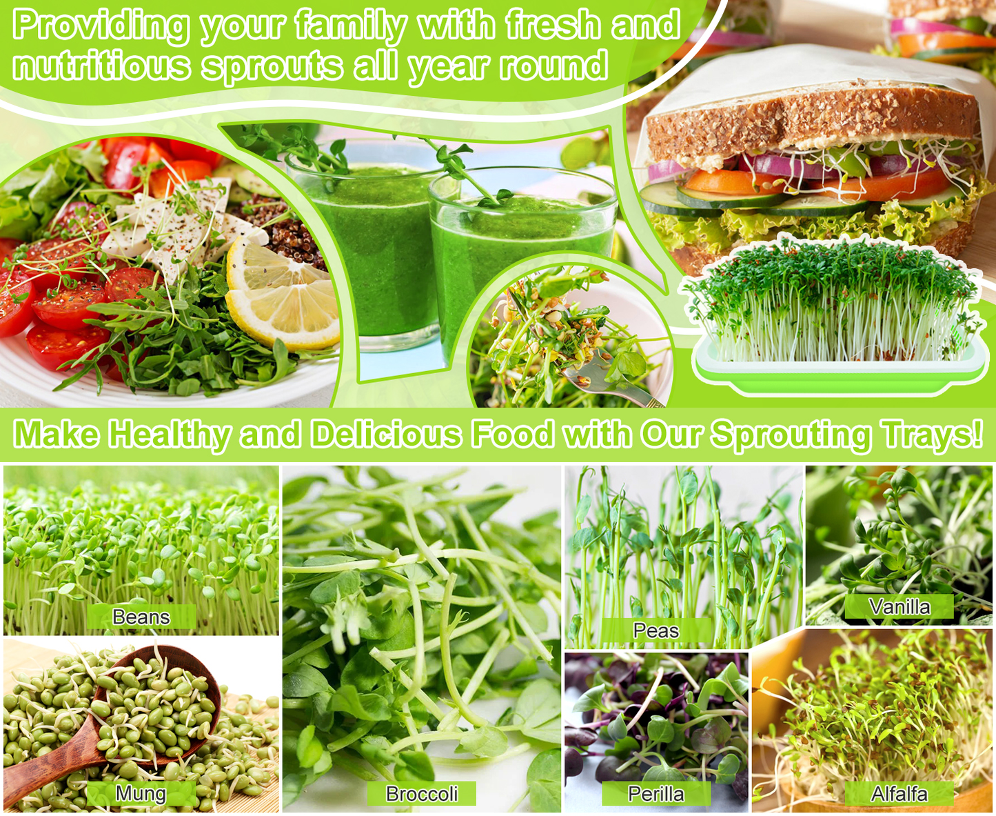 1 Tray + 1/2 lb. of Wheat Berry Sprouting Seeds