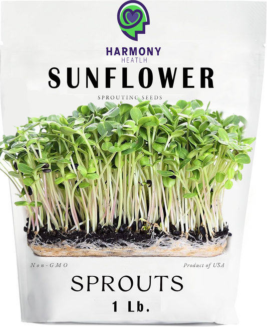 Sunflower black seed 1 lb.